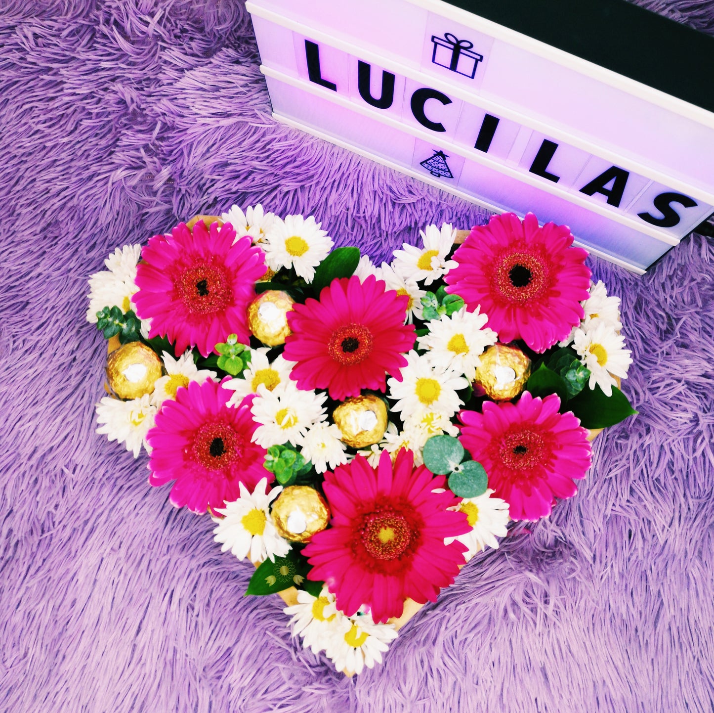 Box de Gerberas